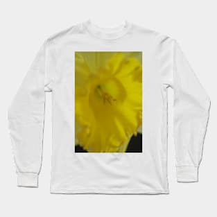 Daffodil closeup Long Sleeve T-Shirt